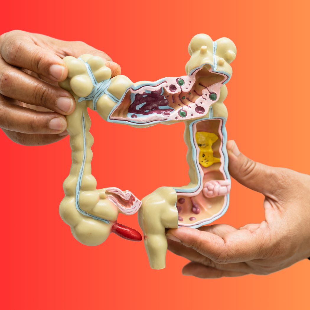 Gut Health and Microbiome Research